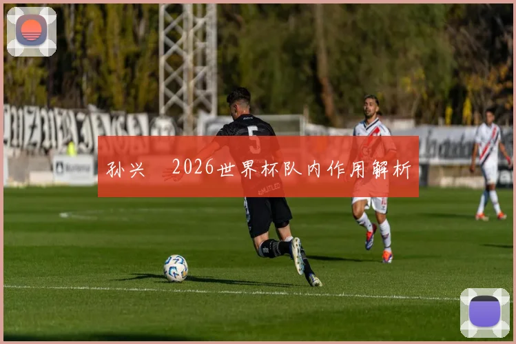 孙兴慜2026世界杯队内作用解析