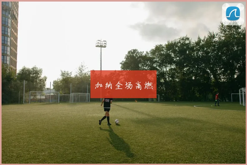 加纳全场高燃