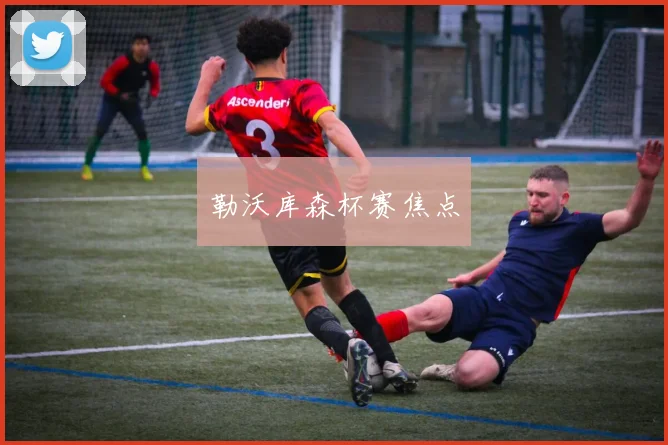 勒沃库森杯赛焦点