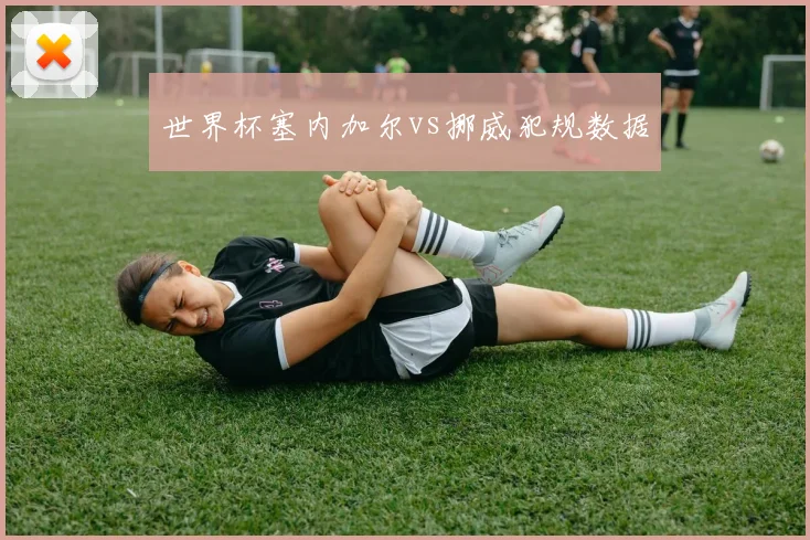 世界杯塞内加尔vs挪威犯规数据