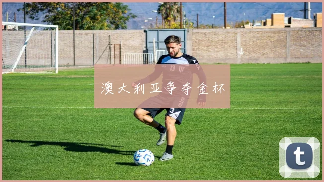 澳大利亚争夺金杯
