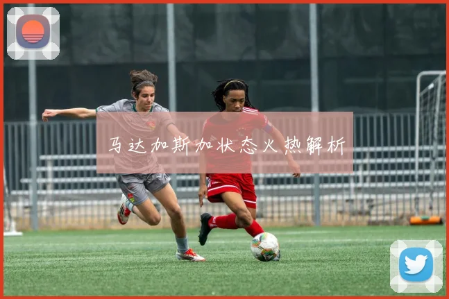 马达加斯加状态火热解析